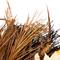24" Unlit Autumn Harvest Artificial Cattail & Wheat Thanksgiving Wreath